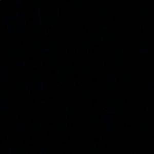 Meet your Posher, Angelo